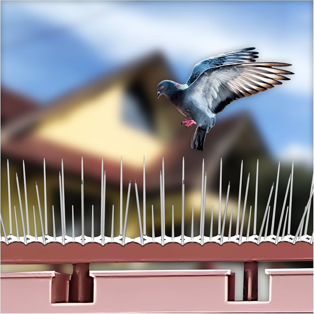Anti Bird Spikes
